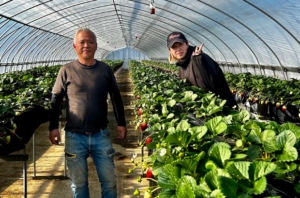 2代目すとろべりーふぁーむおおつか