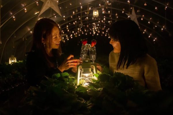 photo_20260130-035940